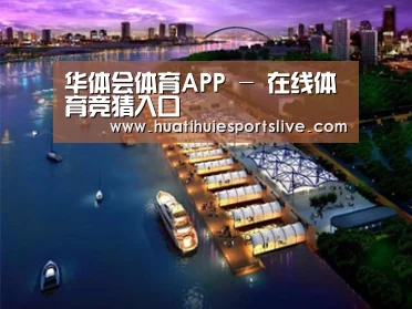 案例展示八