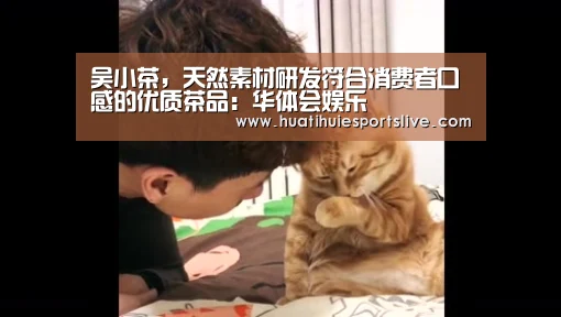 吴小茶,天然素材研发符合消费者口感的优质茶品:华体会娱乐(图1) 华体会娱乐