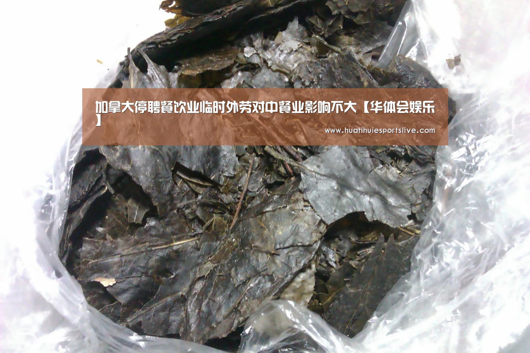 华体会平台