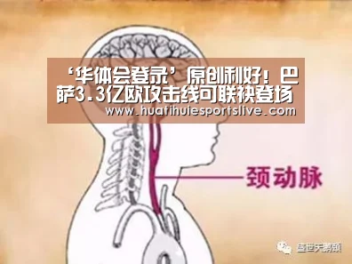 华体会登录